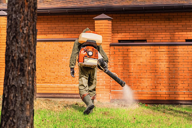 Trusted Bed Bug Control service in Elmwood, LA - Nex Pest Control